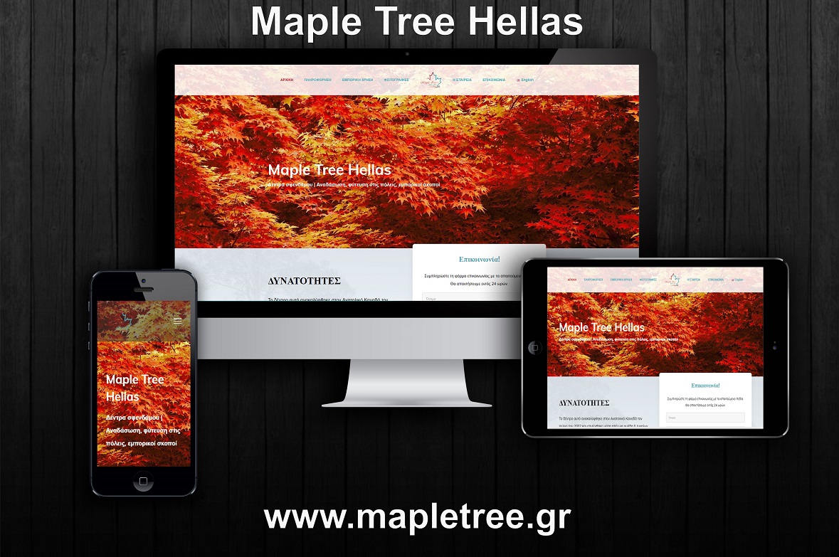 Mapletree presentation